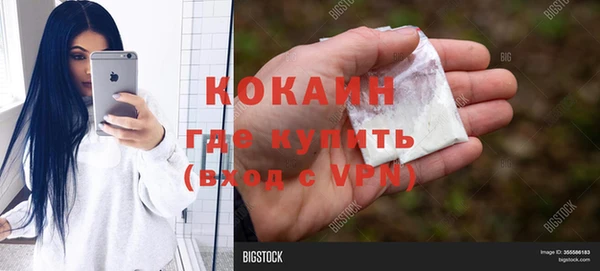 хмурый Арсеньев