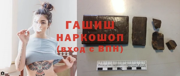 хмурый Арсеньев