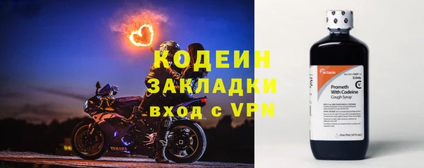 хмурый Арсеньев