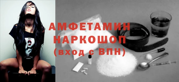 хмурый Арсеньев