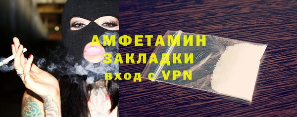 хмурый Арсеньев