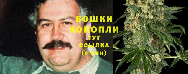 прущие крисы Армянск