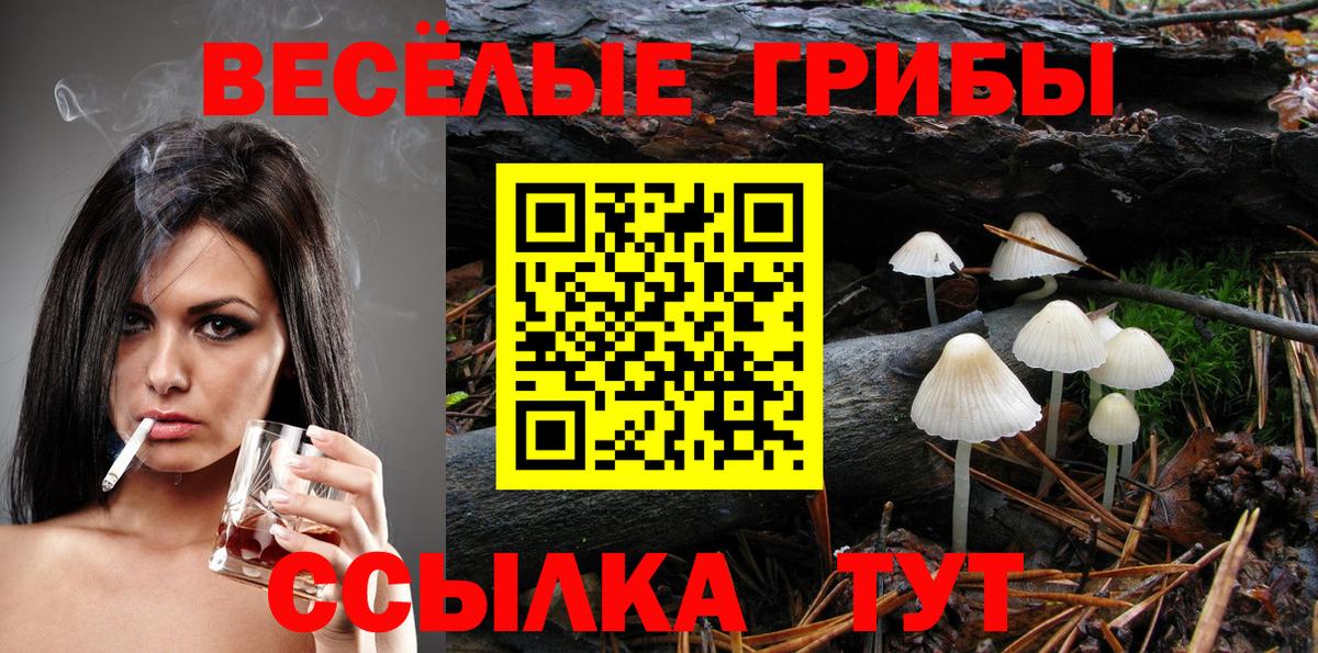 Галлюциногенные грибы ЛСД Балашов