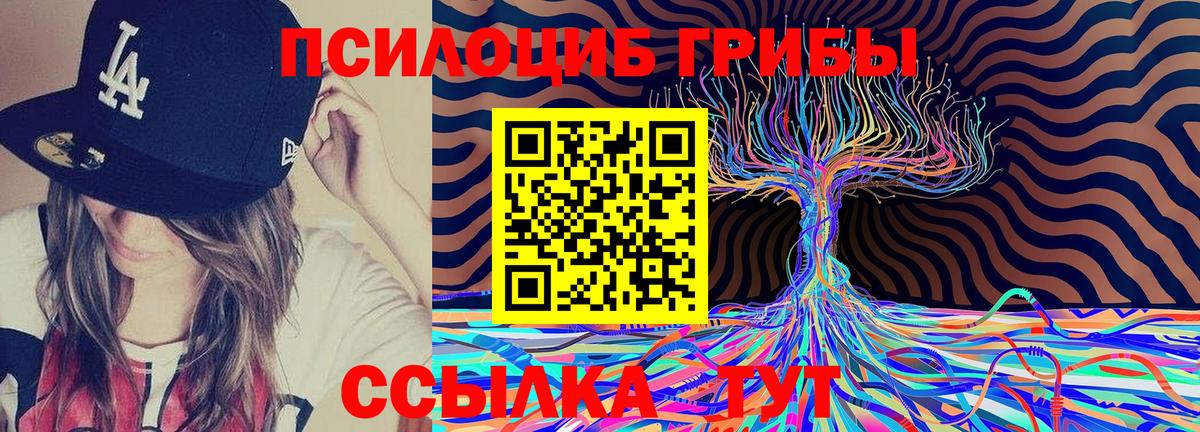 Псилоцибиновые грибы MAGIC MUSHROOMS  Вход с VPN  Балашов 